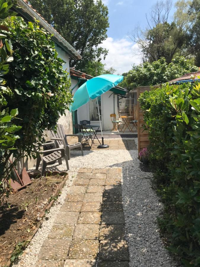 Entre Ocean Et Montagne 15bis Avenue De Montbrun Appartement *